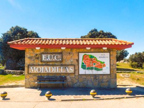 Mojadillas